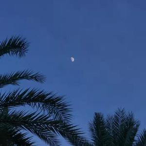 美女裸体十八禁免费网站
