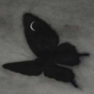 美女裸体十八禁免费网站
