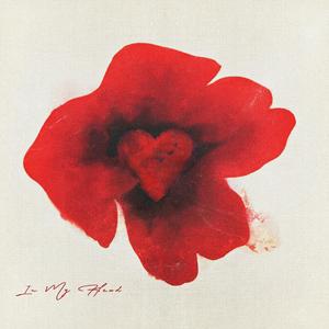 美女裸体十八禁免费网站
