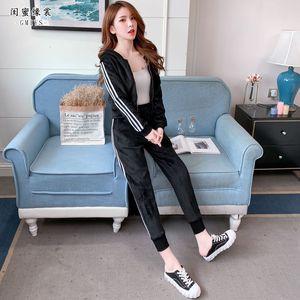 美女裸体十八禁免费网站
